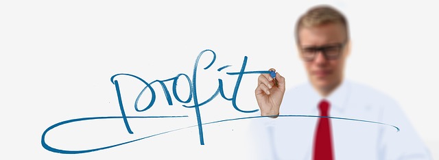 profit-2210588_640